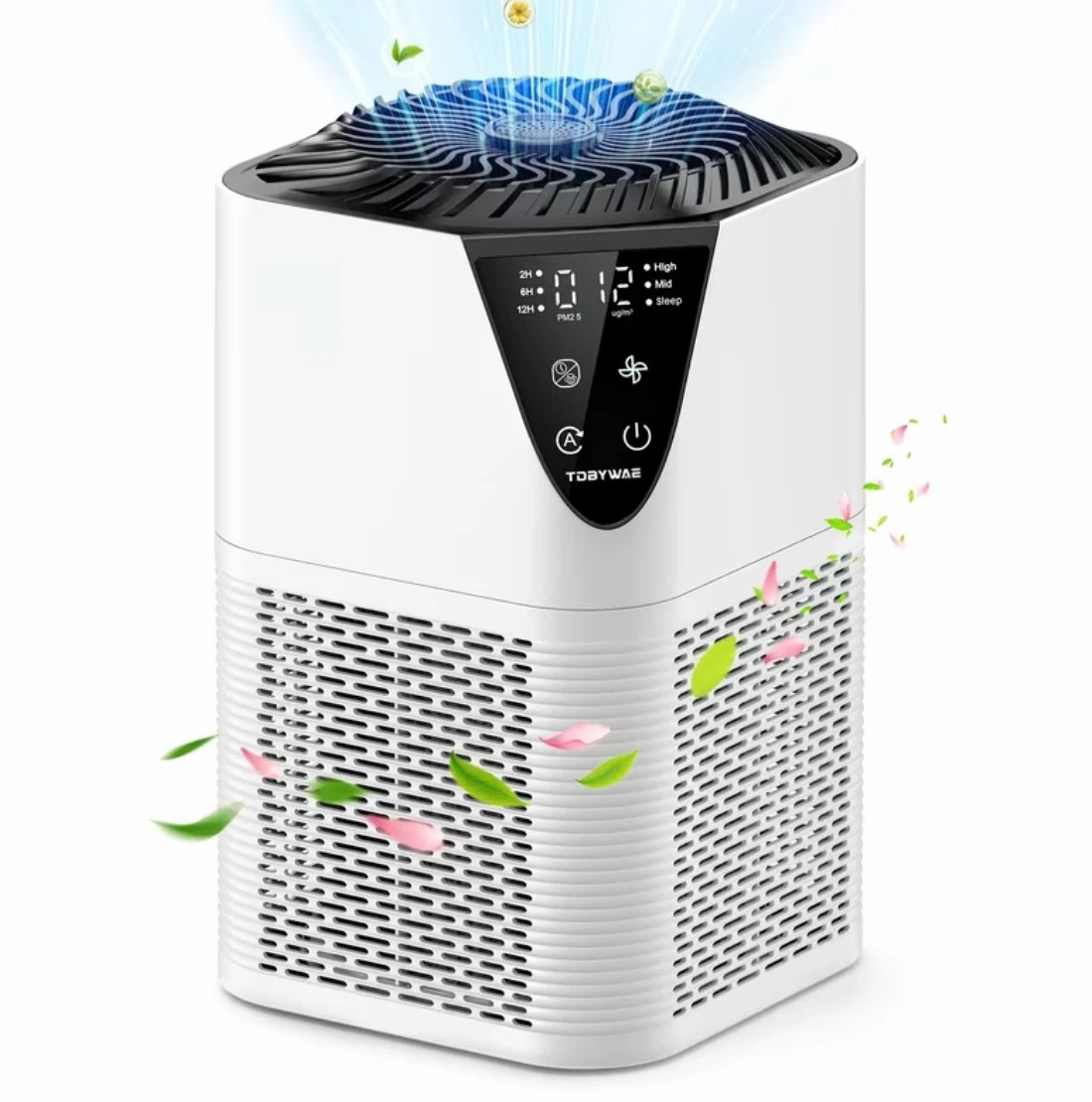 PRASKY Air Purifier with Timer