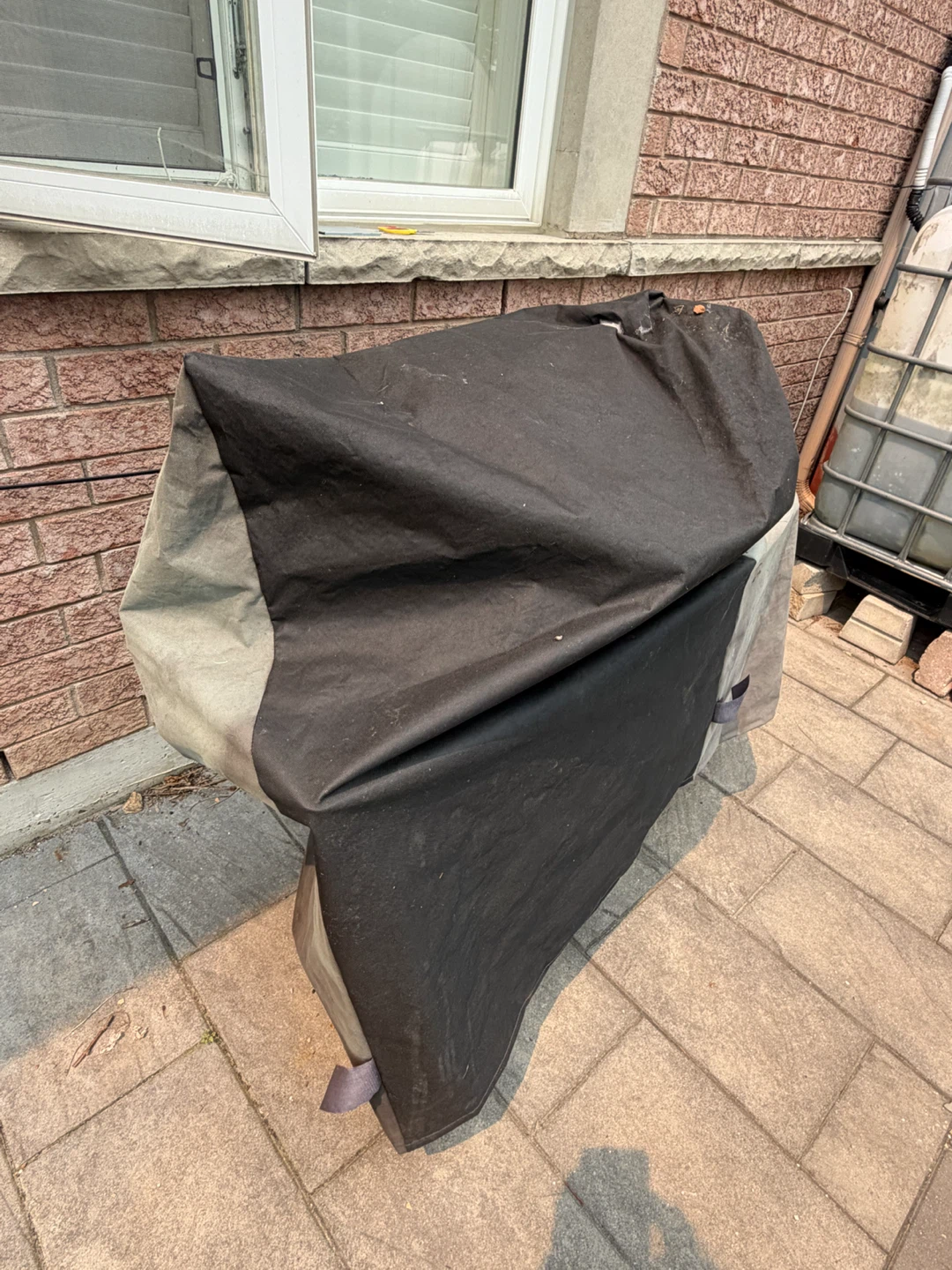 Master Chef Gas Grill with Cover - photo 2
