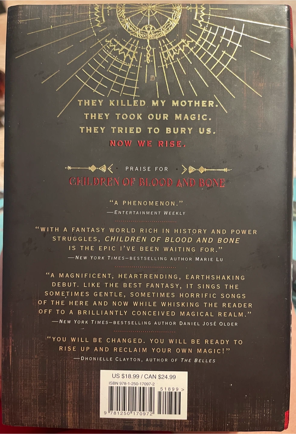 Children of Blood & Bone + Children of Virtue & Vengeance Books - photo 5