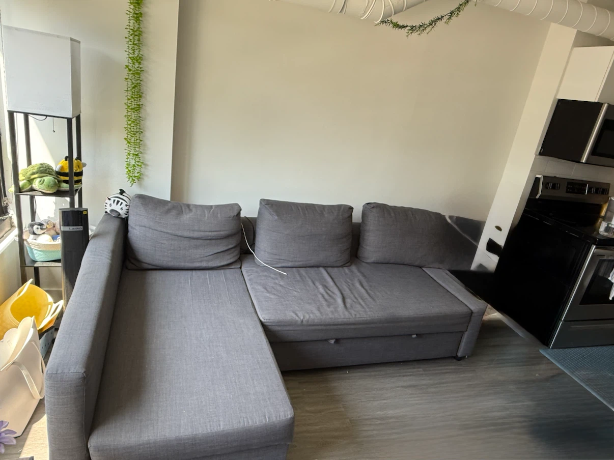 IKEA FRIHETEN Sleeper Sectional Sofa with Storage – Grey - photo 2
