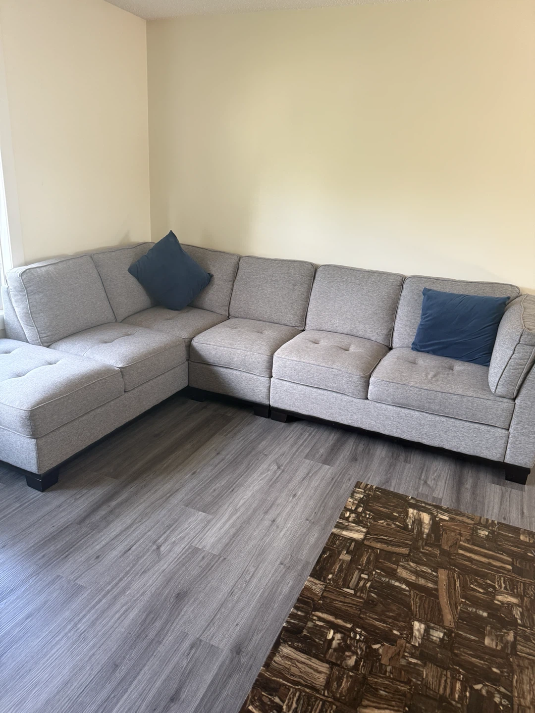 Grey Sectional Sofa with 2 Throw Pillows
