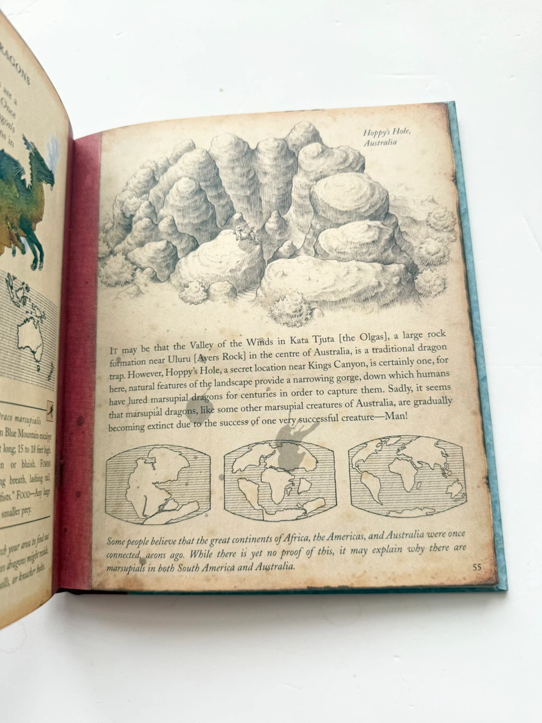 The Dragonology Handbook & 4 Pocket Adventures Books - photo 4
