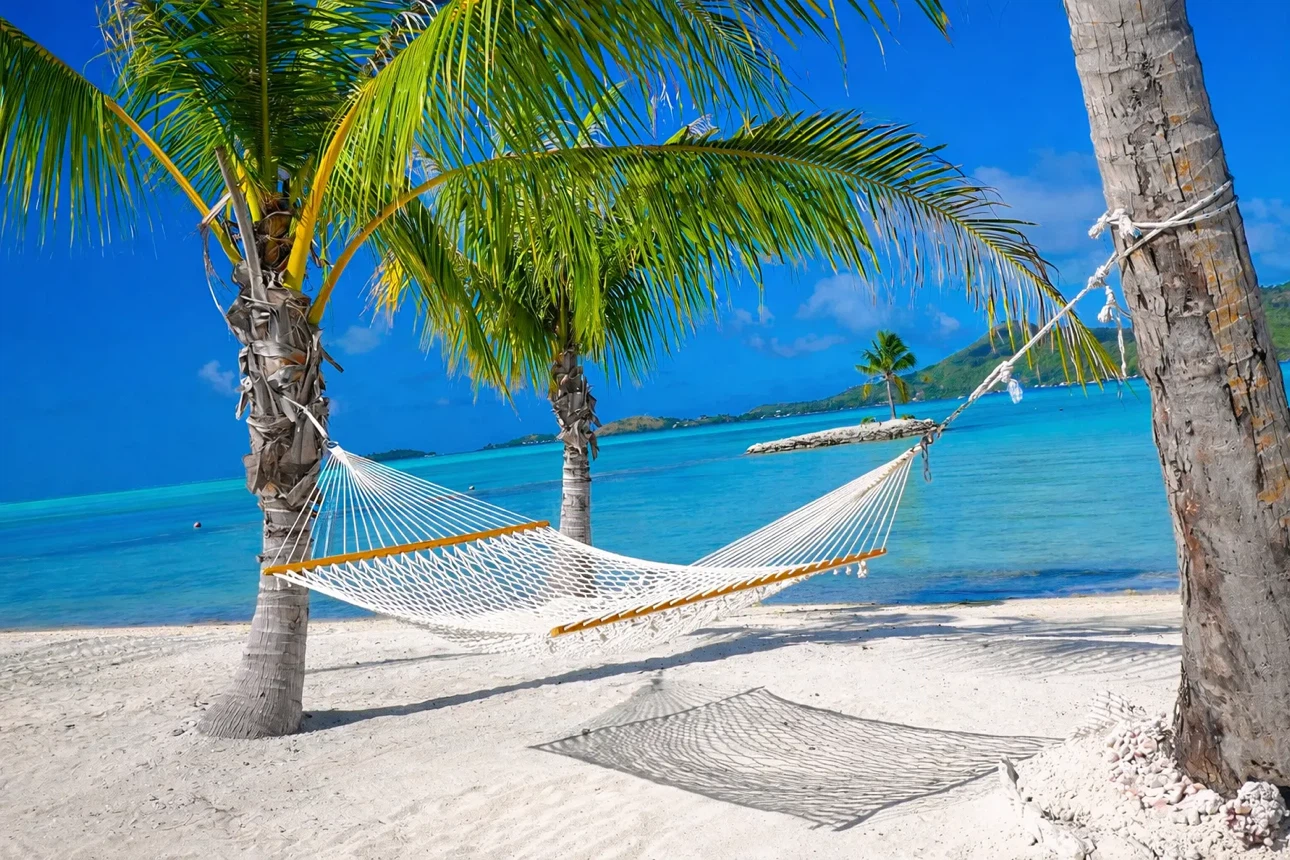 Mesh Hammock - NEW