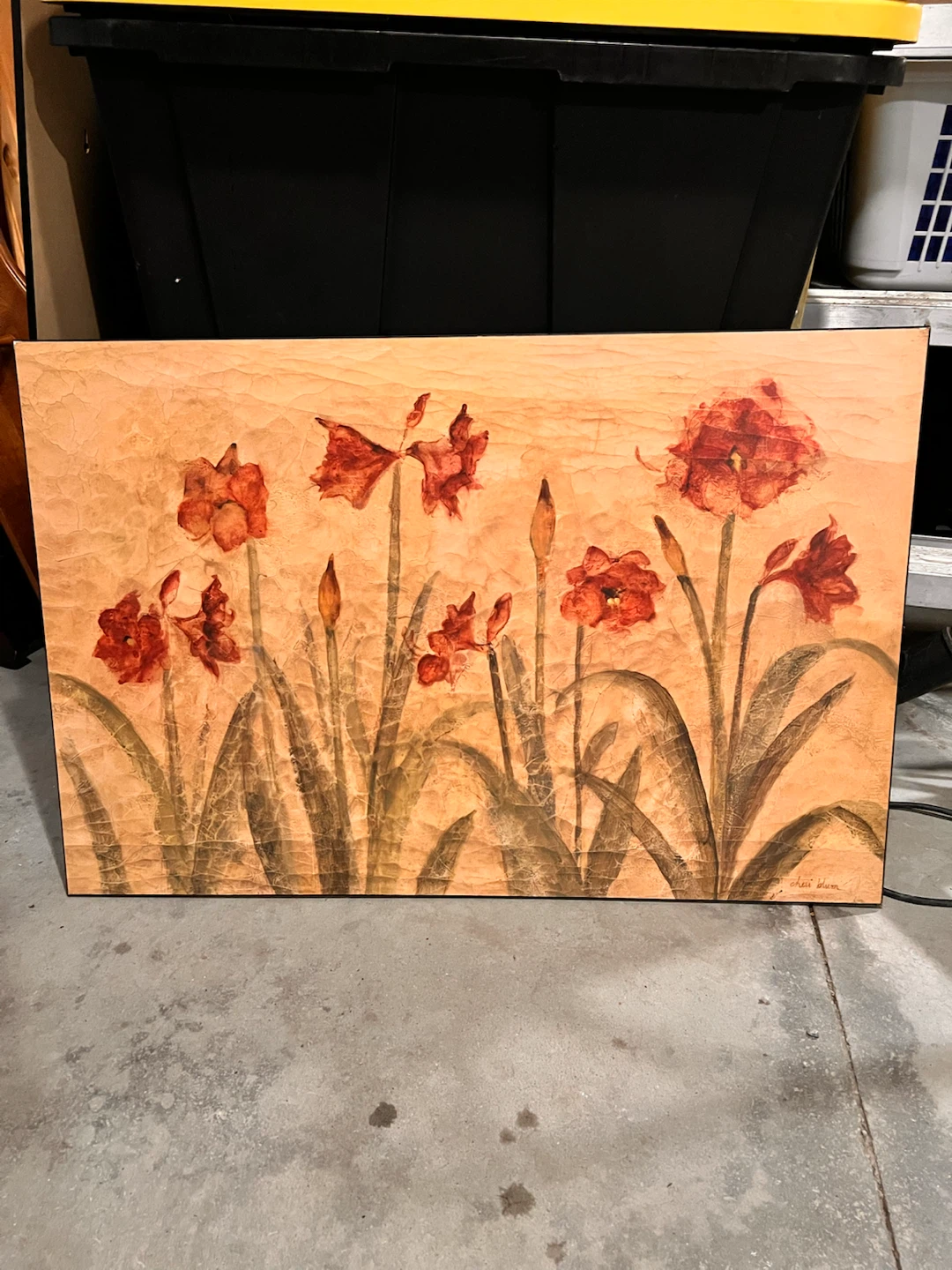 Photo of “Row of Red Amaryllis Light” by Cheri Blum - photo 2