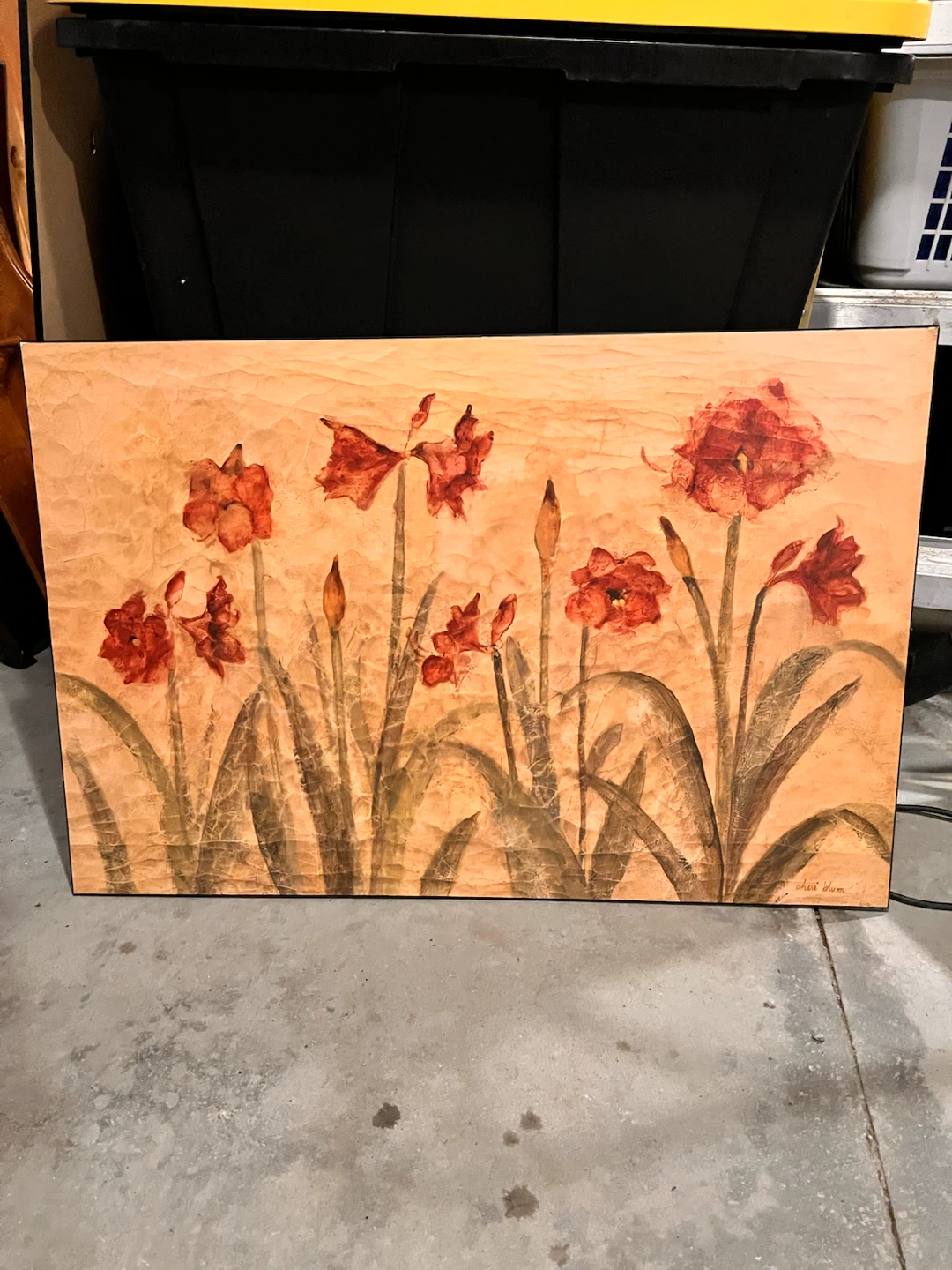 Photo of “Row of Red Amaryllis Light” by Cheri Blum - photo 3