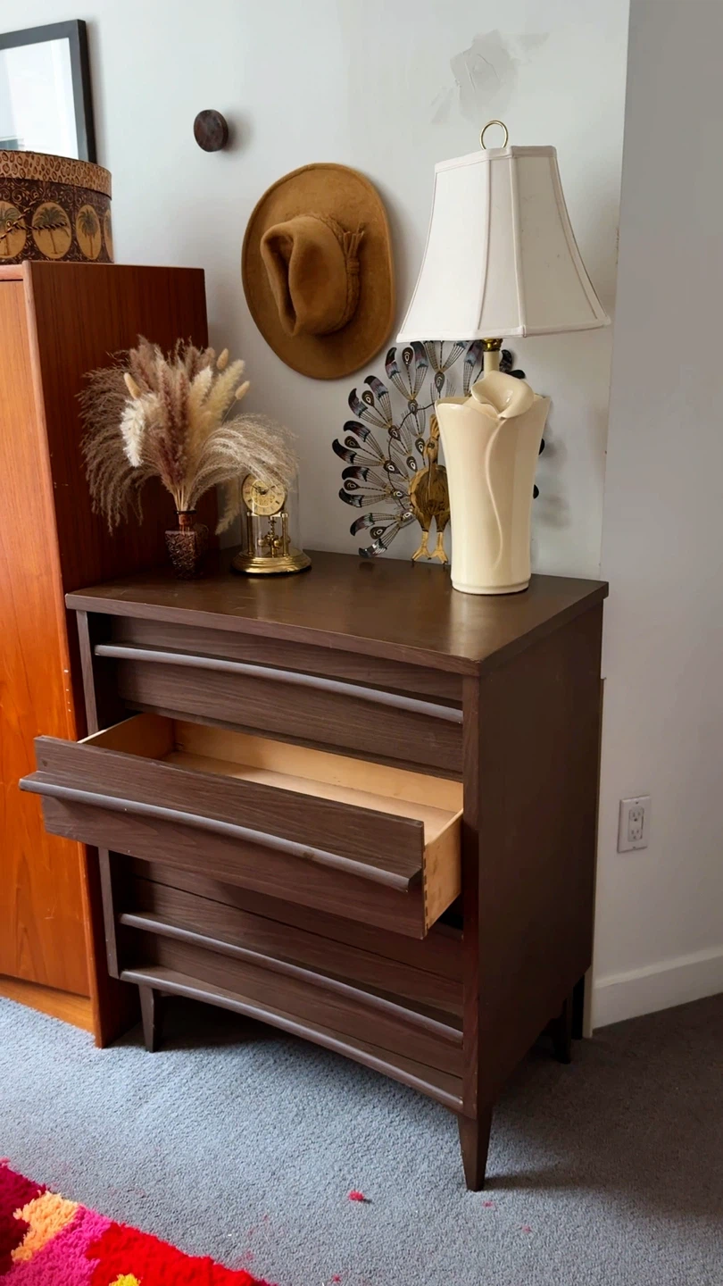 Midcentury Modern Vintage 5-Drawer Dresser - photo 5