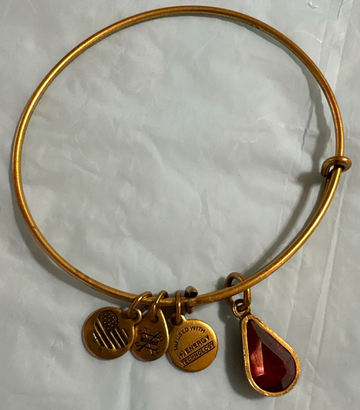 Alex and Ani Gold Tone Charm Bangle Bracelet with Red Stone