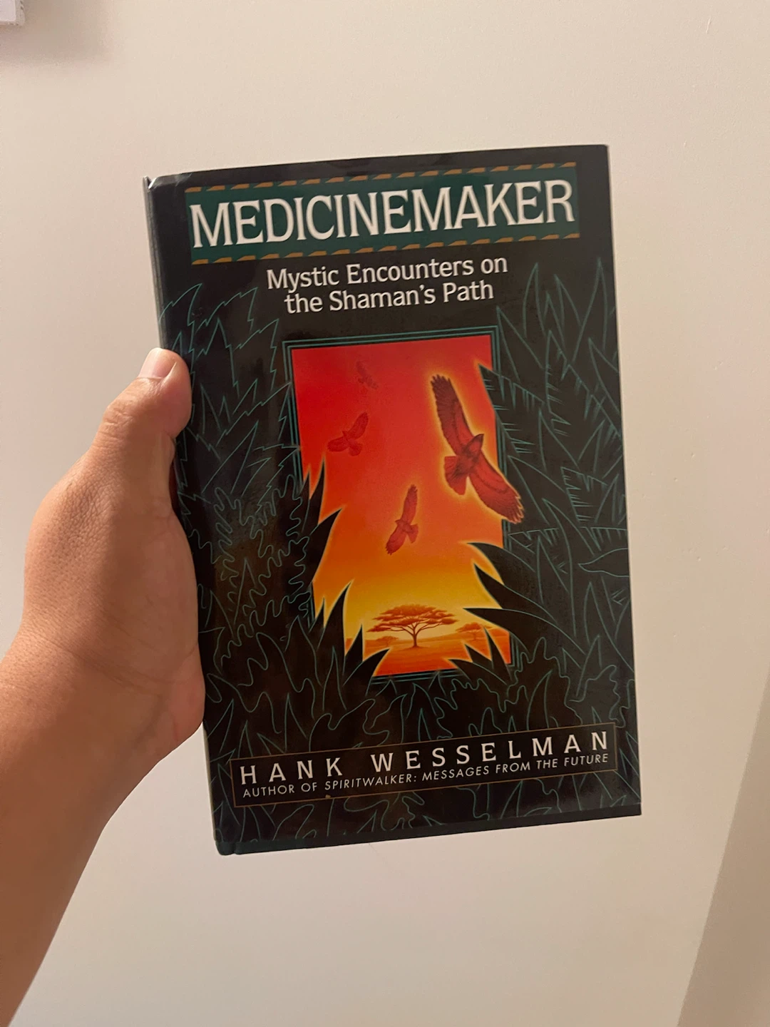 Medicimemaker: Mystic Encounters on the Shaman's Path Book