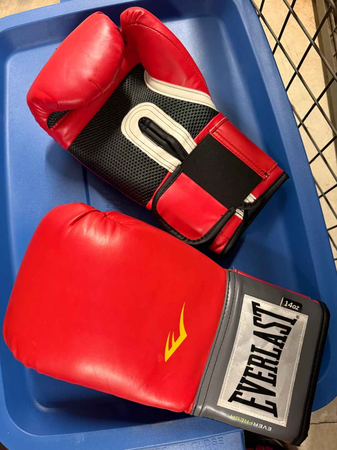 Everlast 14oz Boxing Gloves