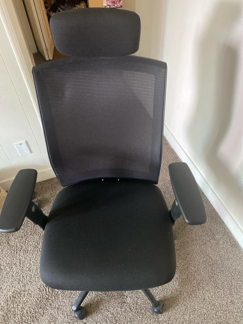 Black Ergonomic Office Chair with Headrest