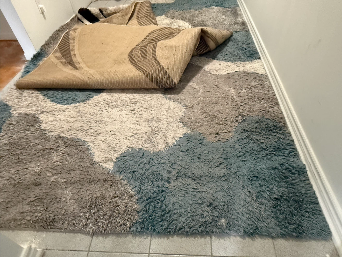 Shag Area Rug