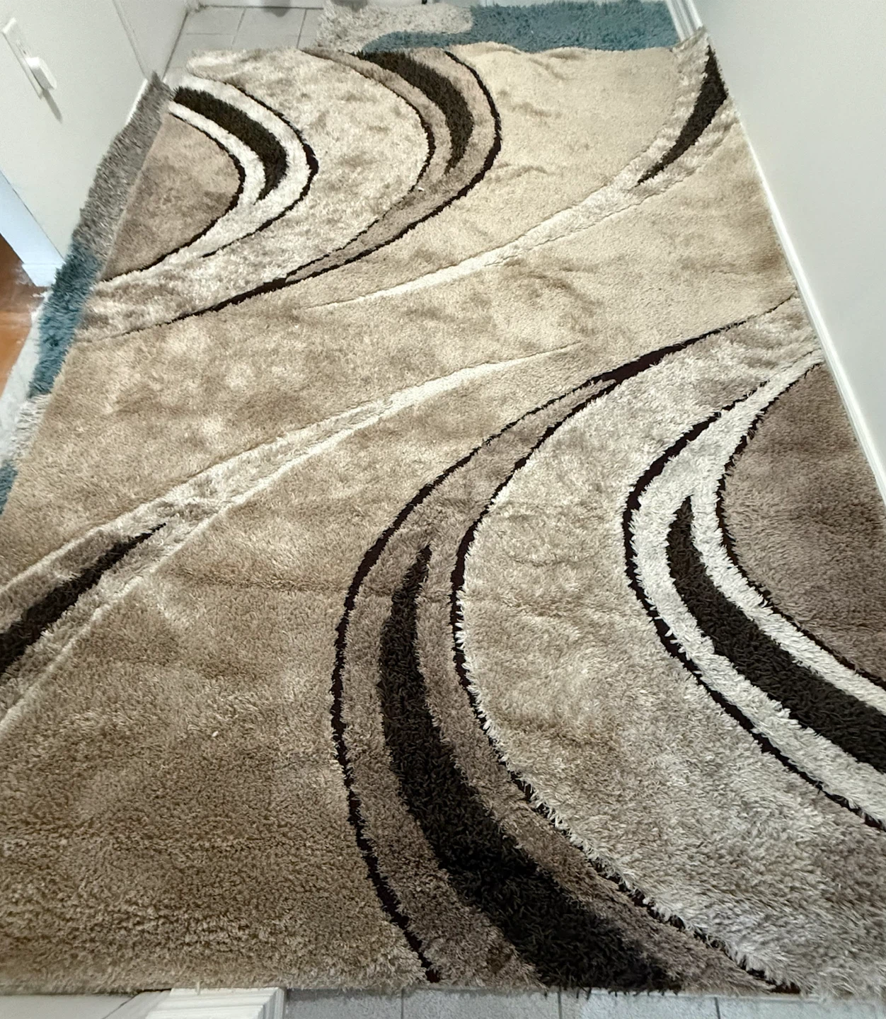 Shag Area Rug - photo 2