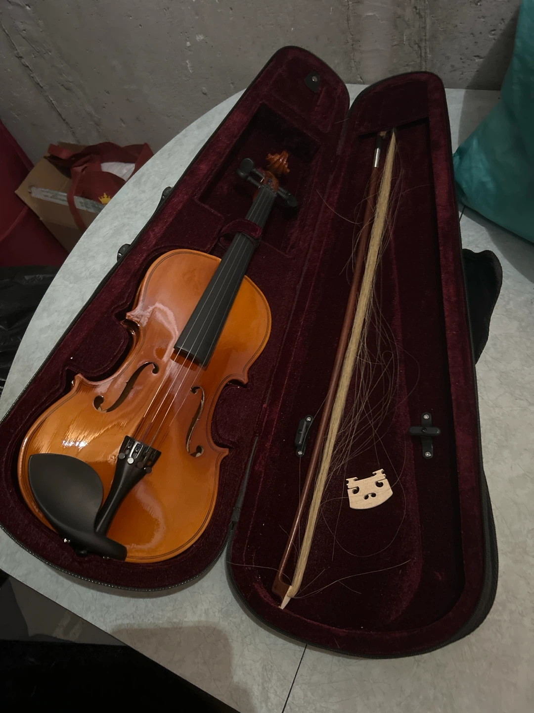 Violin with Case and Bow