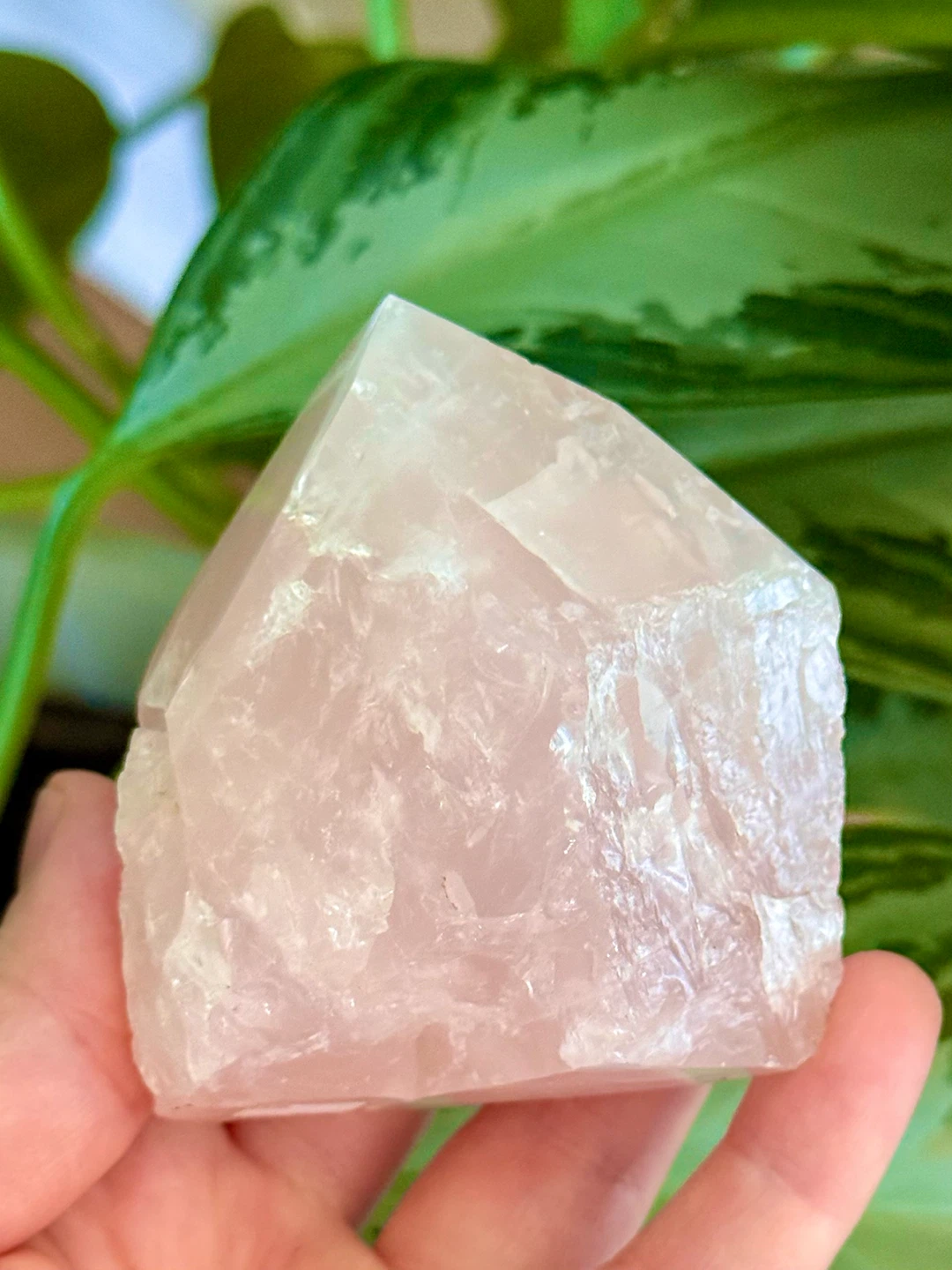 Brazilian Half-Raw Half-Polished Rose Quartz Crystal Specimen