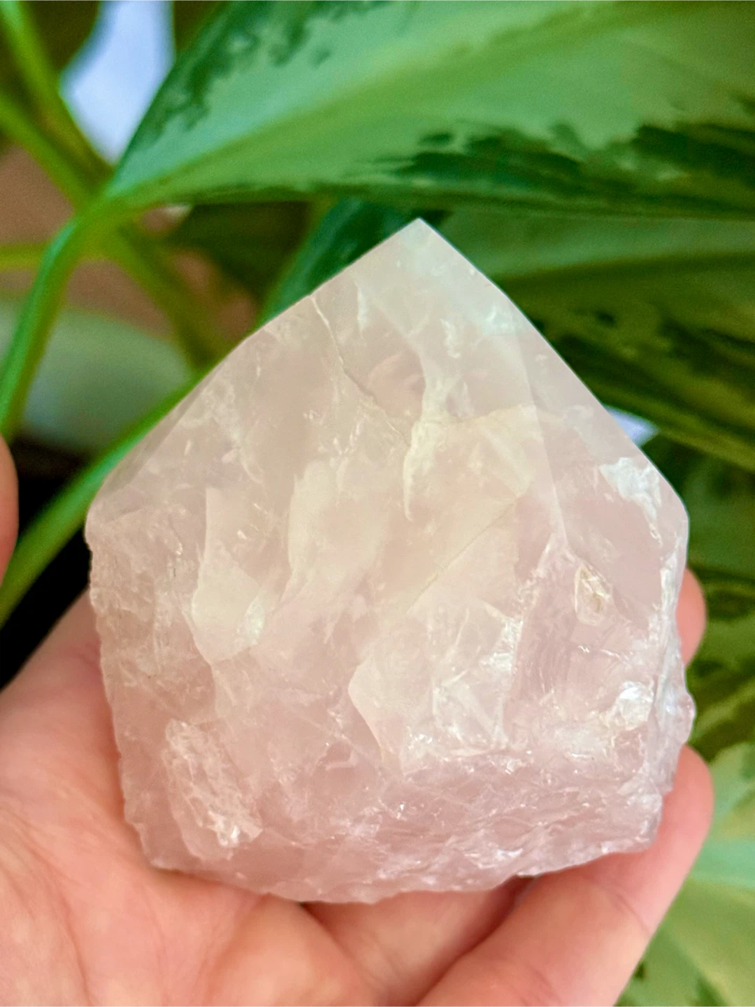 Brazilian Half-Raw Half-Polished Rose Quartz Crystal Specimen - photo 2