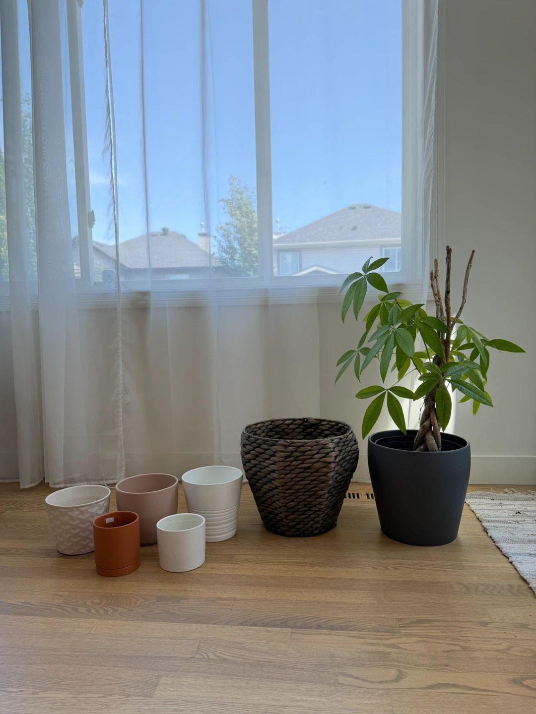 🪴Plant Pots