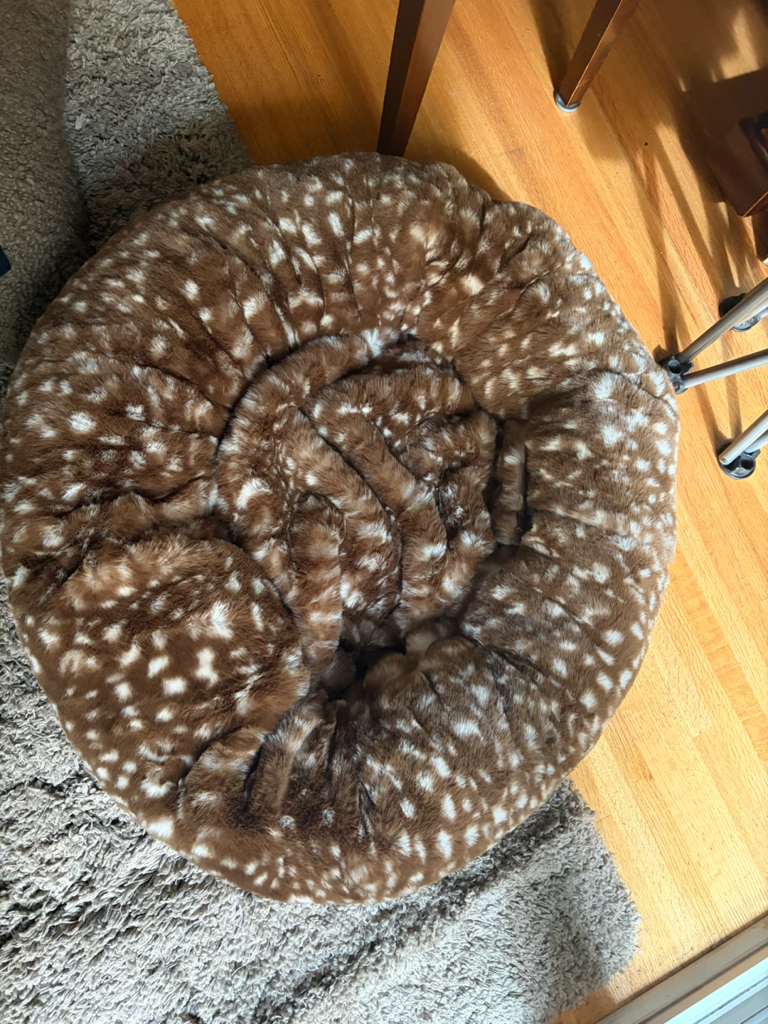 Cute cat or dog bed