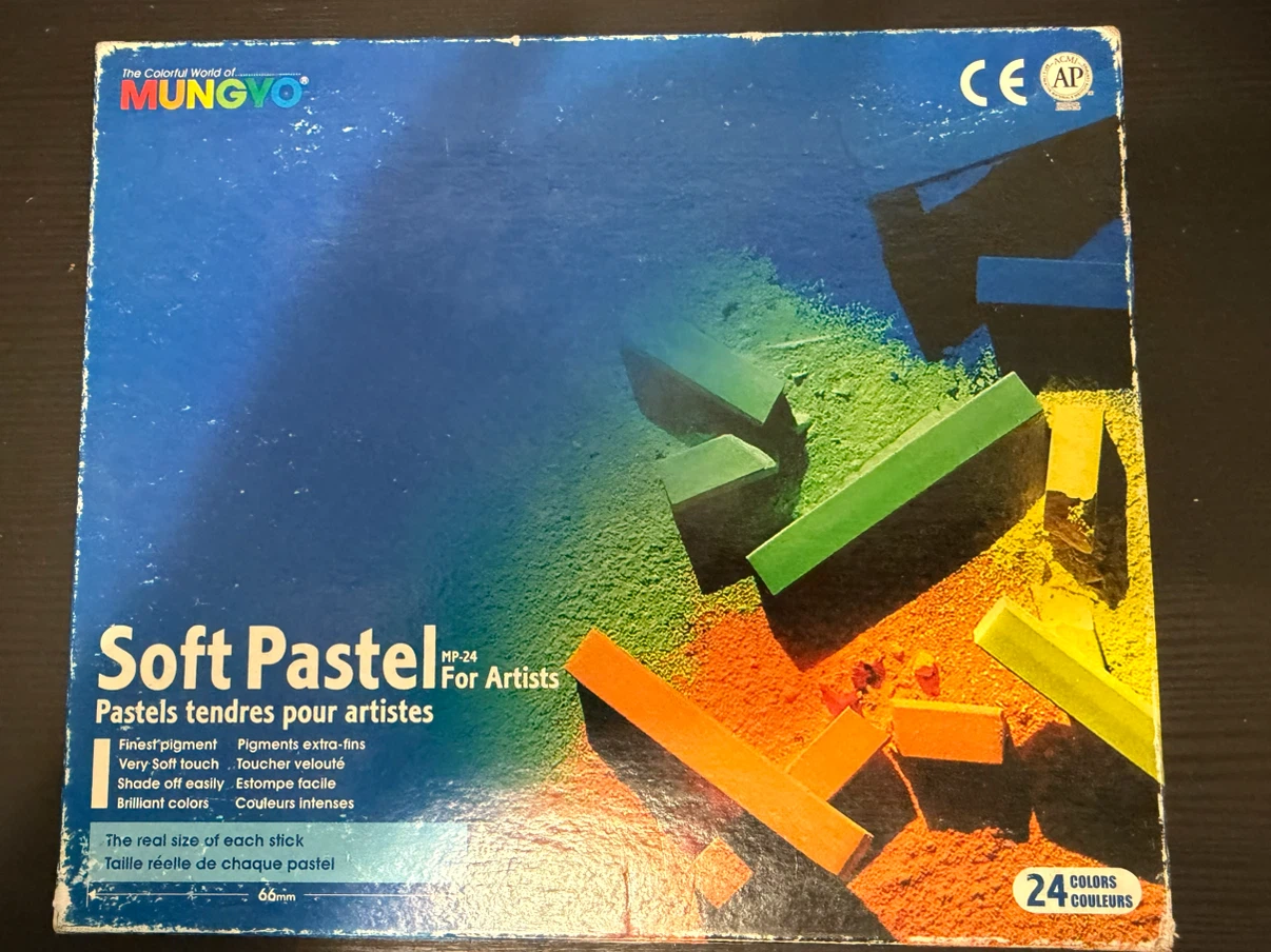 Mungyo Soft Pastels for Artists - 24 Pack (Used)
