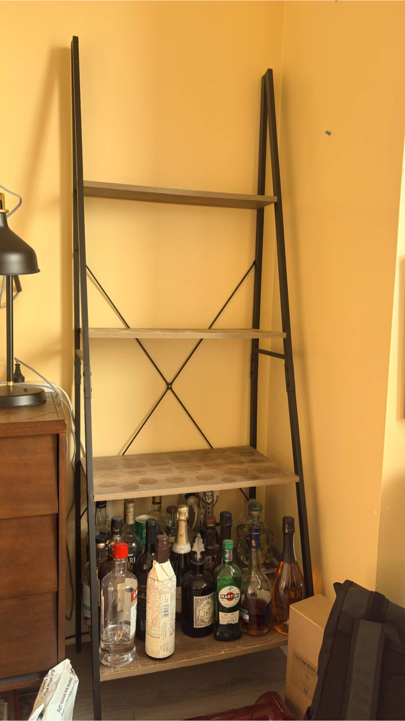 Ladder Bookshelf / Display Shelf