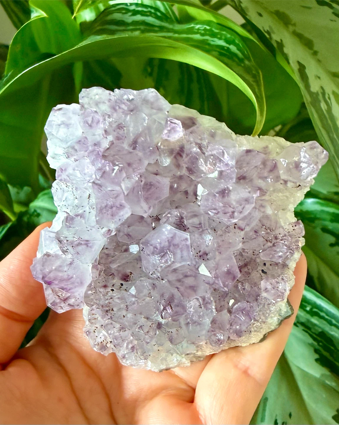 Raw Brazilian Amethyst Crystal Specimen