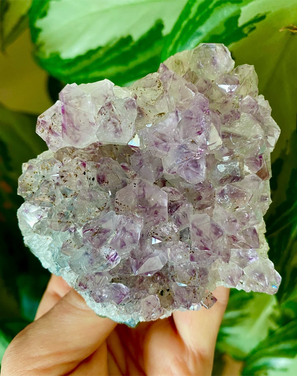 Raw Brazilian Amethyst Crystal Specimen - photo 2