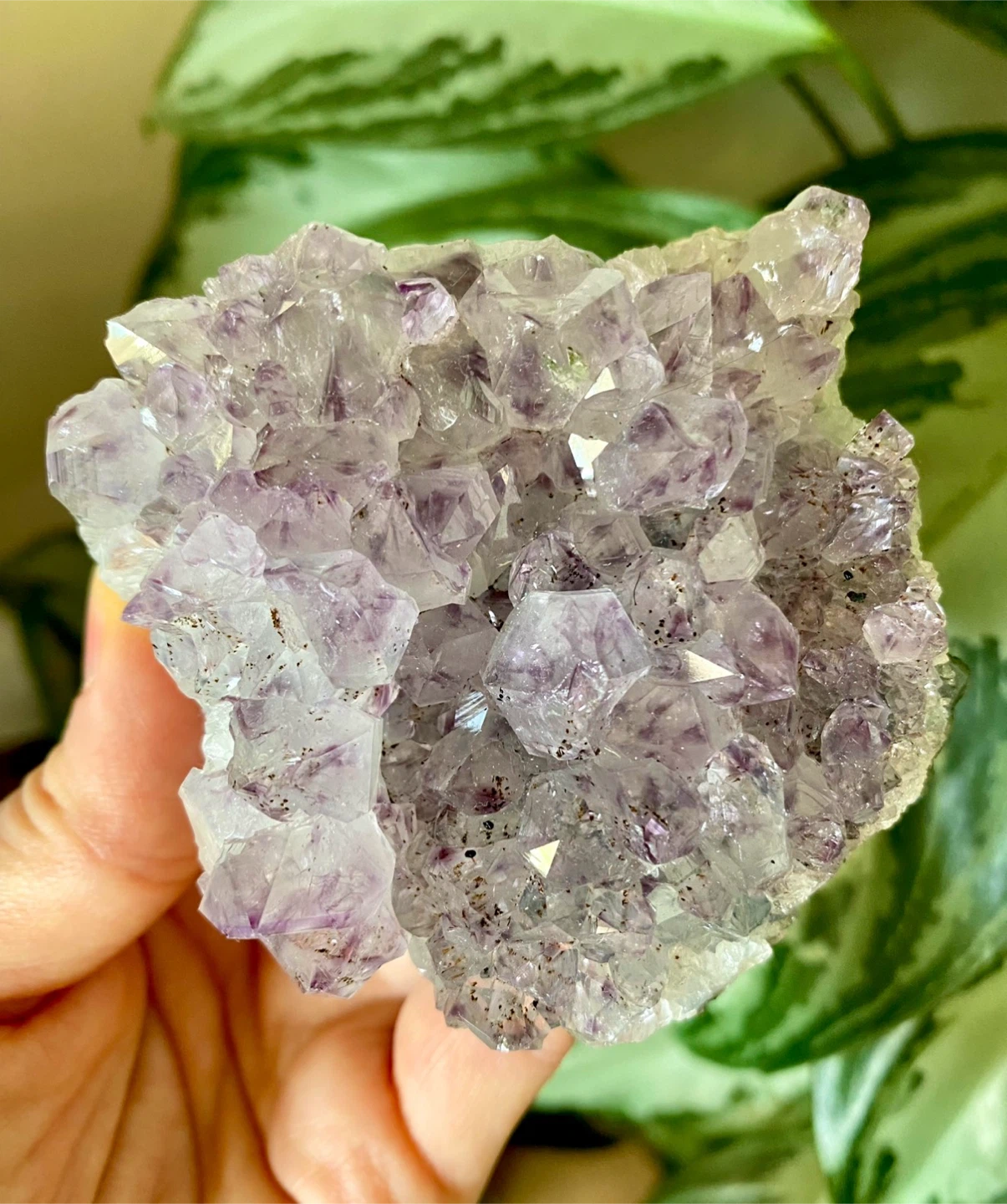 Raw Brazilian Amethyst Crystal Specimen - photo 3
