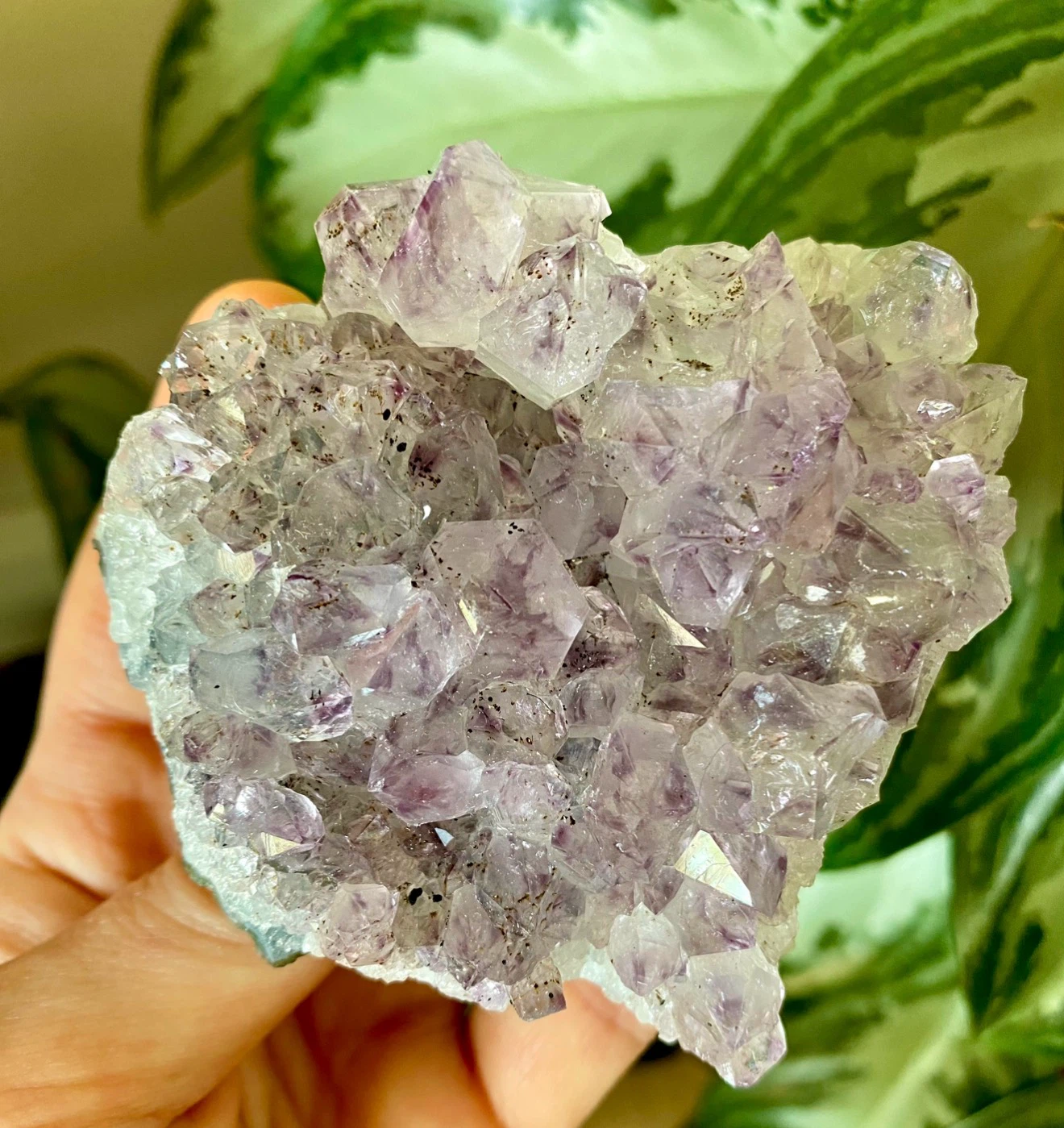 Raw Brazilian Amethyst Crystal Specimen - photo 4