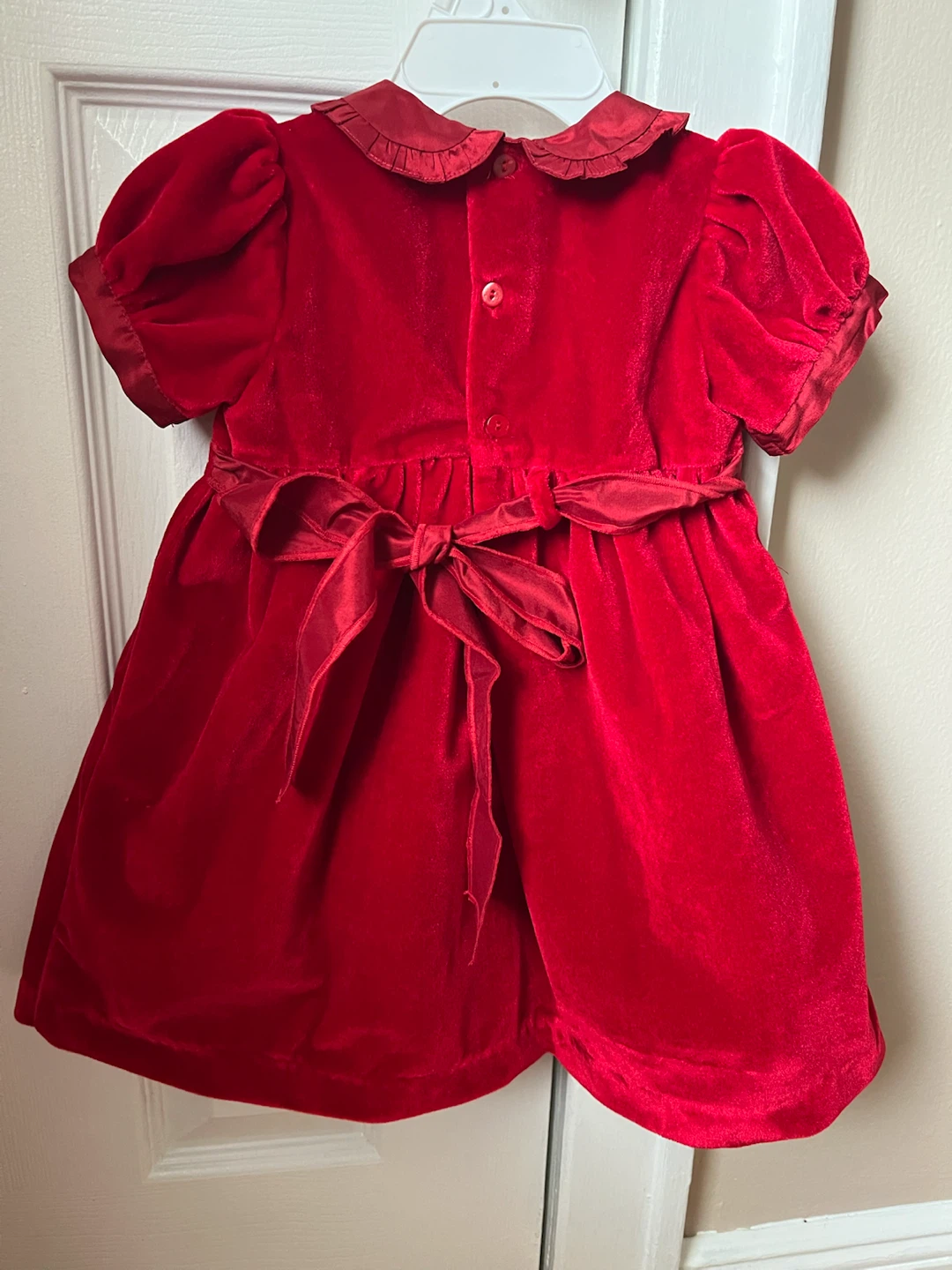 Fleurisse Red Velvet  Dress - photo 2