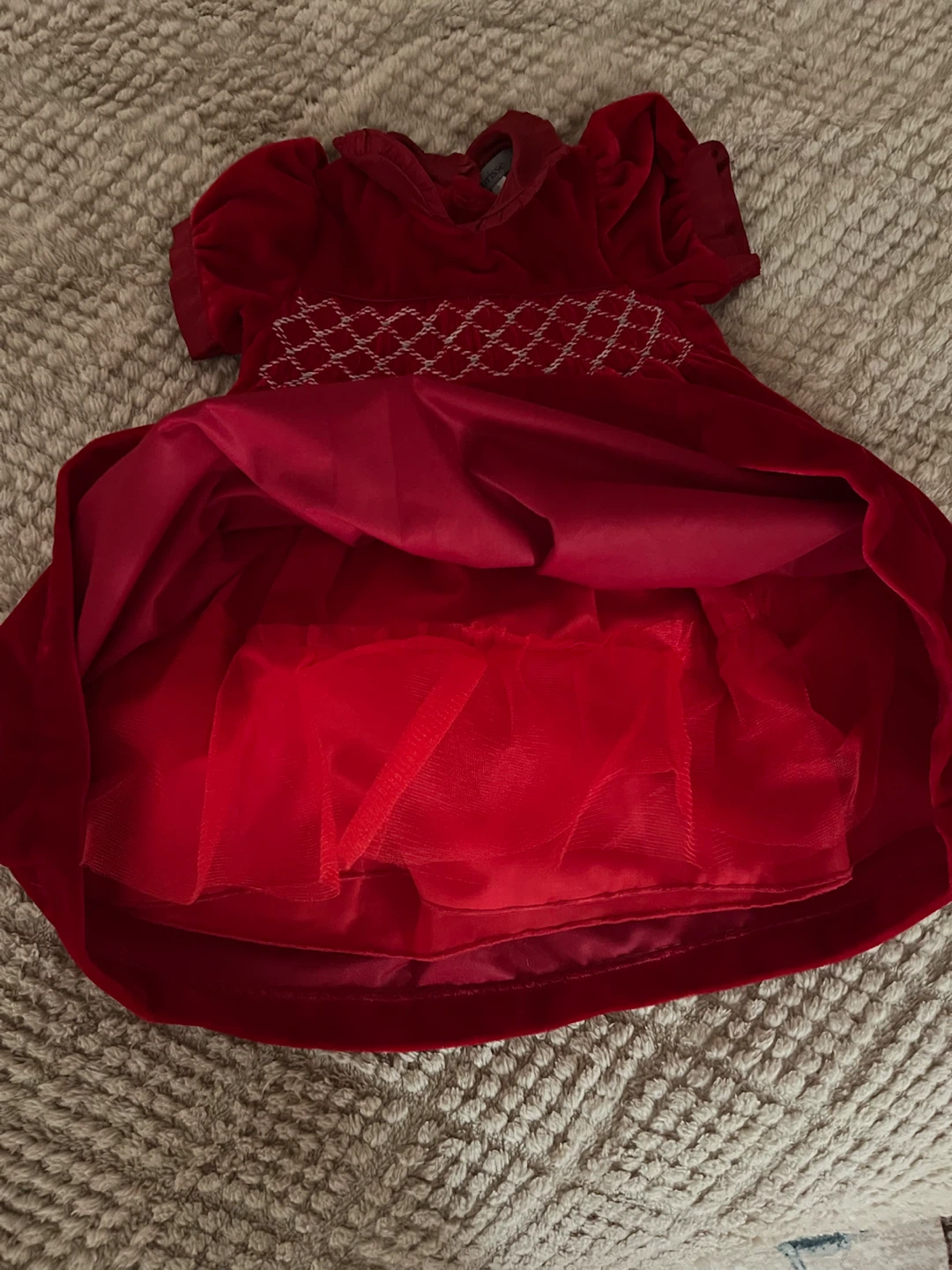 Fleurisse Red Velvet  Dress - photo 4