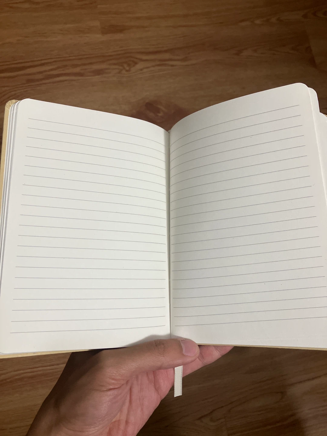 TwitterDev Notebook - photo 3