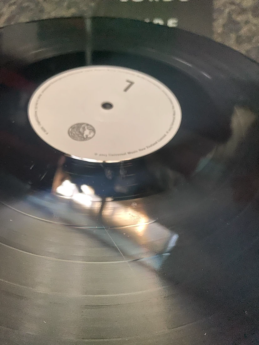 Lorde Pure Heroine Vinyl Record - photo 4
