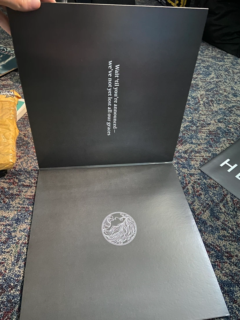 Lorde Pure Heroine Vinyl Record - photo 5
