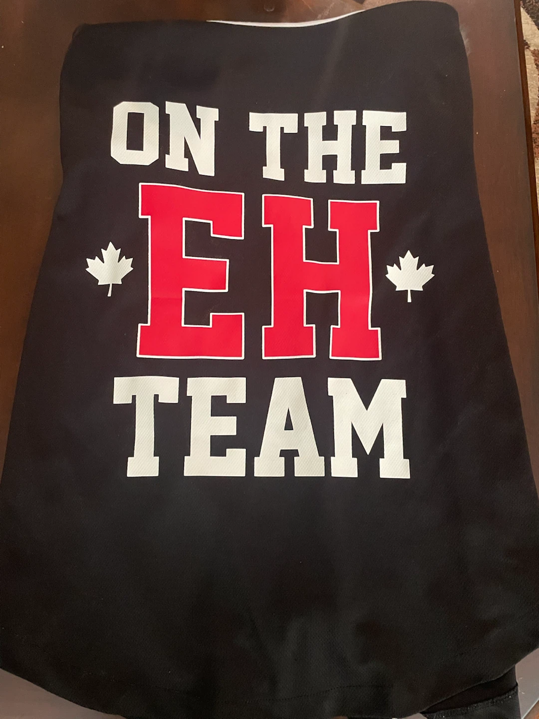 Urban Heritage Canada "On The EH Team" Baseball Jersey - photo 2