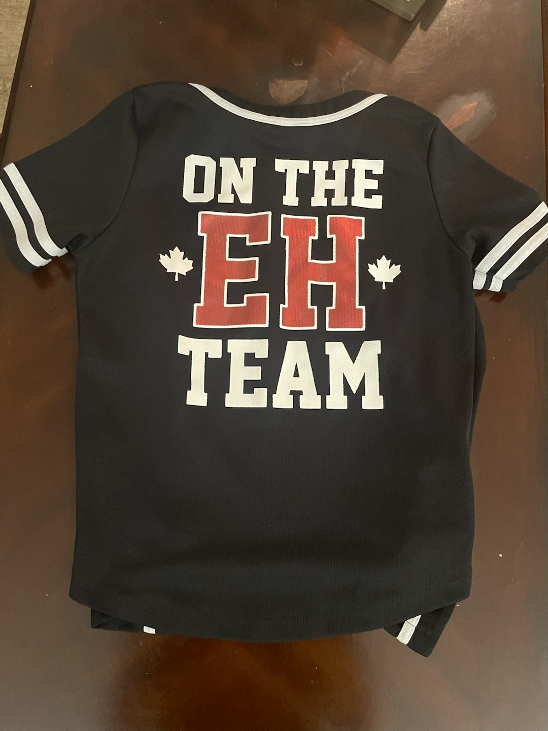 Urban Heritage Canada "On The EH Team" Baseball Jersey - photo 4