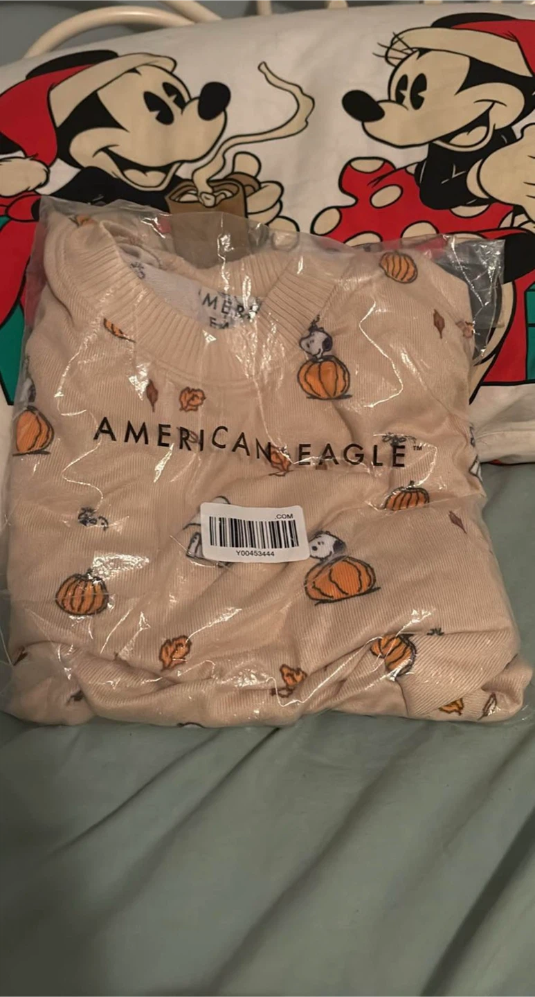 American eagle snoopy pumpkin pjs set size Xs tags  on