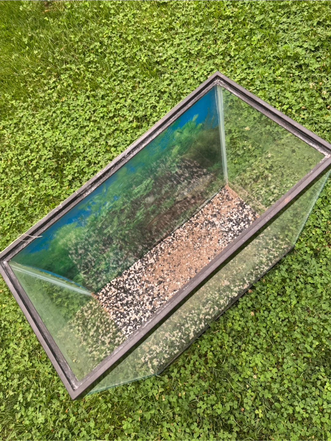Glass Aquarium Tank - photo 2