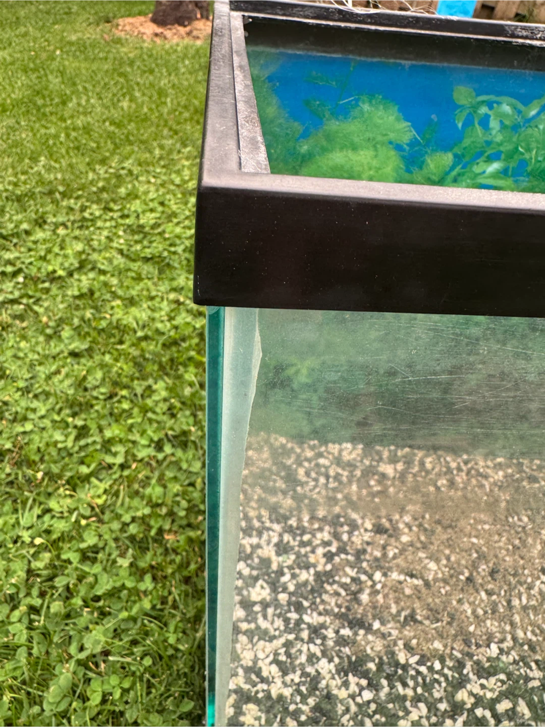 Glass Aquarium Tank - photo 3