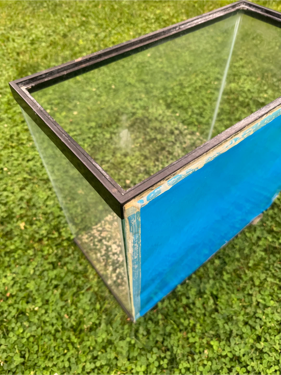 Glass Aquarium Tank - photo 4