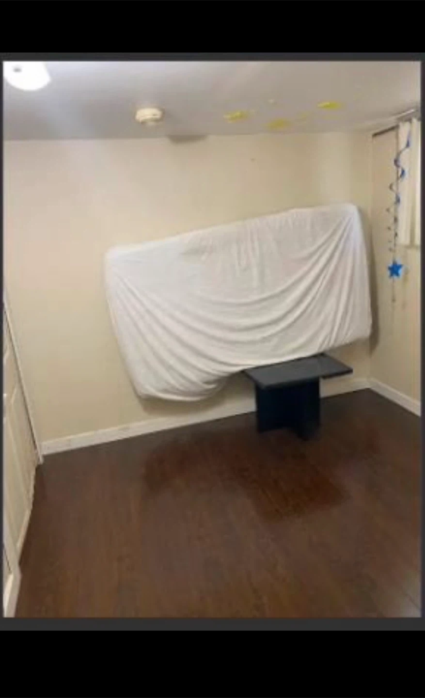 Bright 1‑Bedroom Basement Apartment for rent - photo 4
