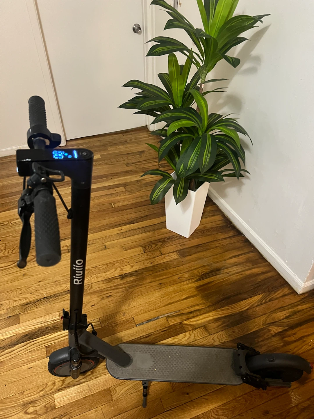 Riuoio Electric Scooter