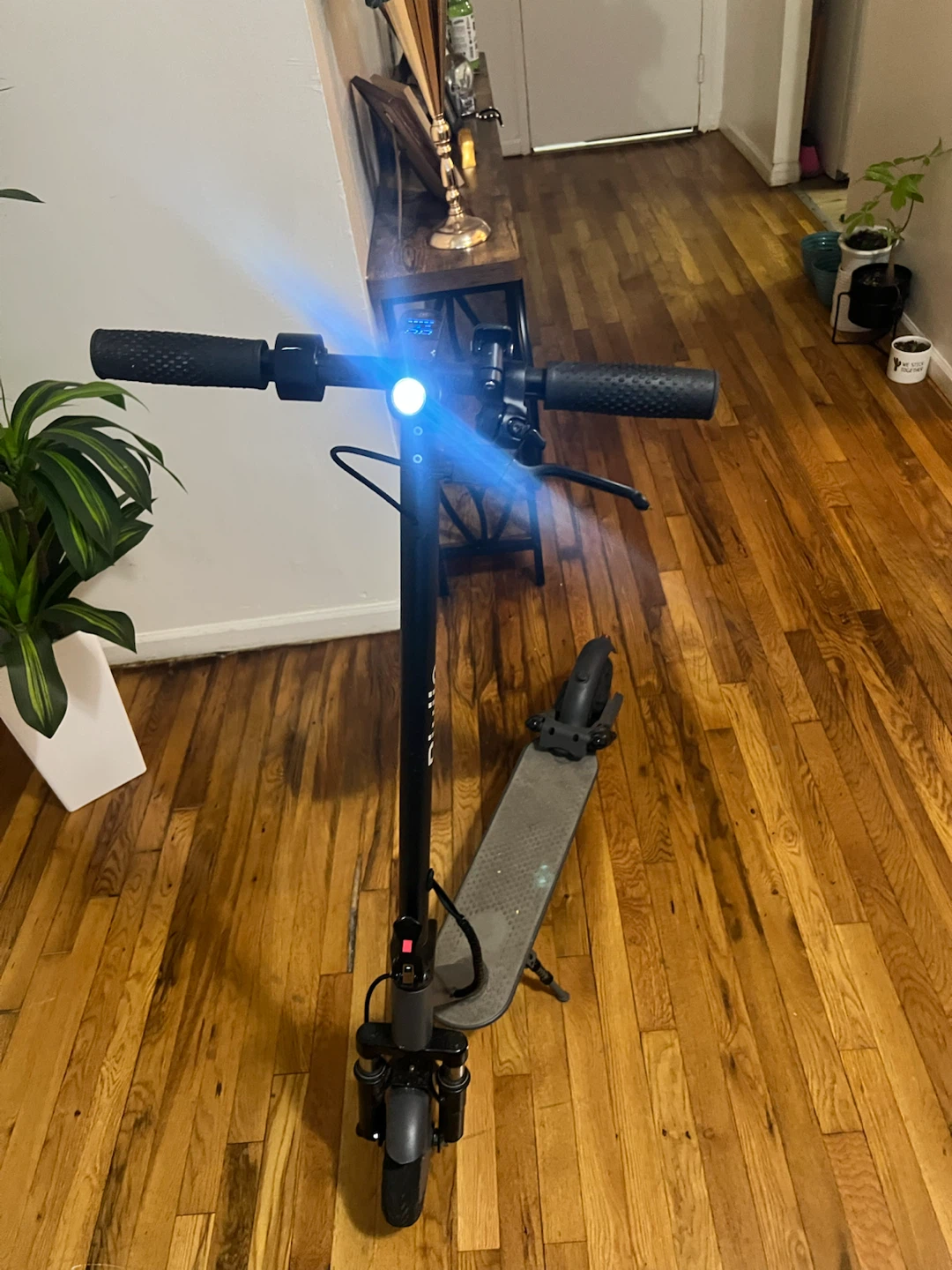 Riuoio Electric Scooter - photo 2