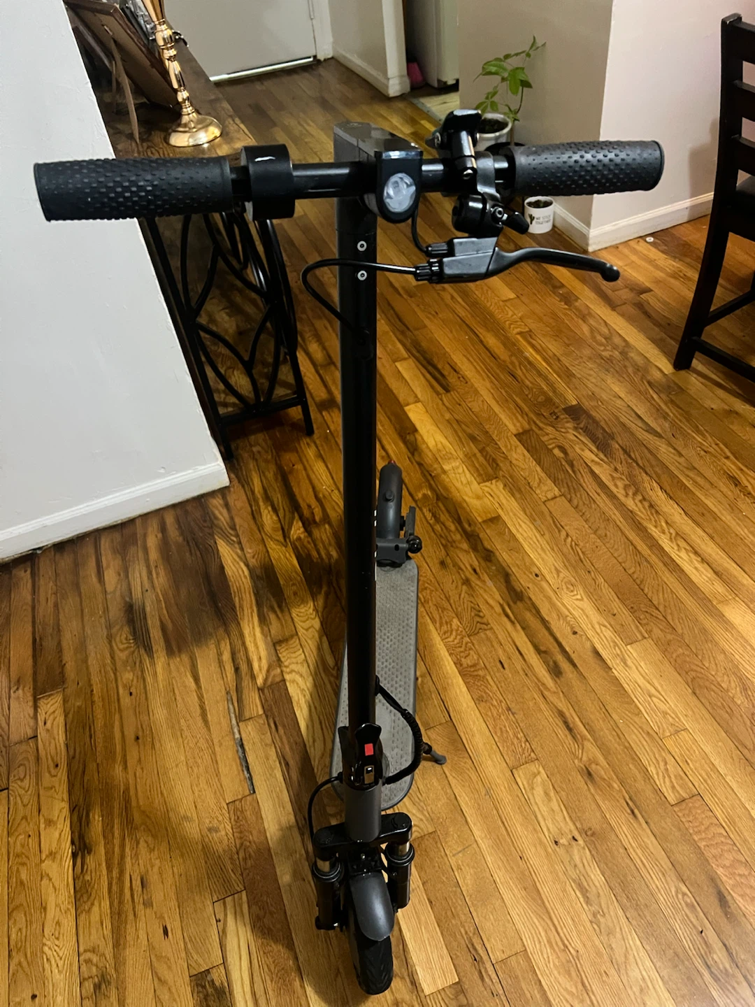 Riuoio Electric Scooter - photo 3