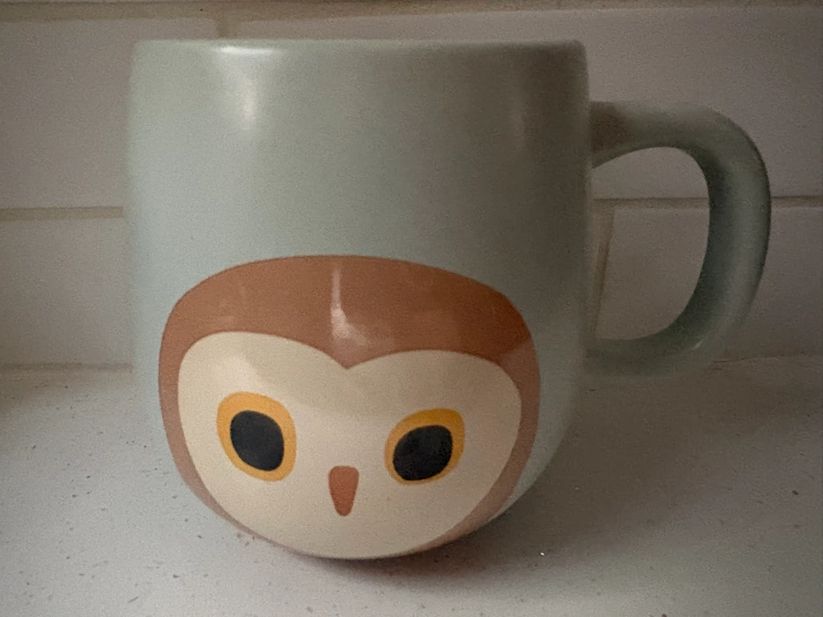 Cute Woodland Animal Mugs (Fox , Hedgehog, Owl) – set of 3 - photo 5