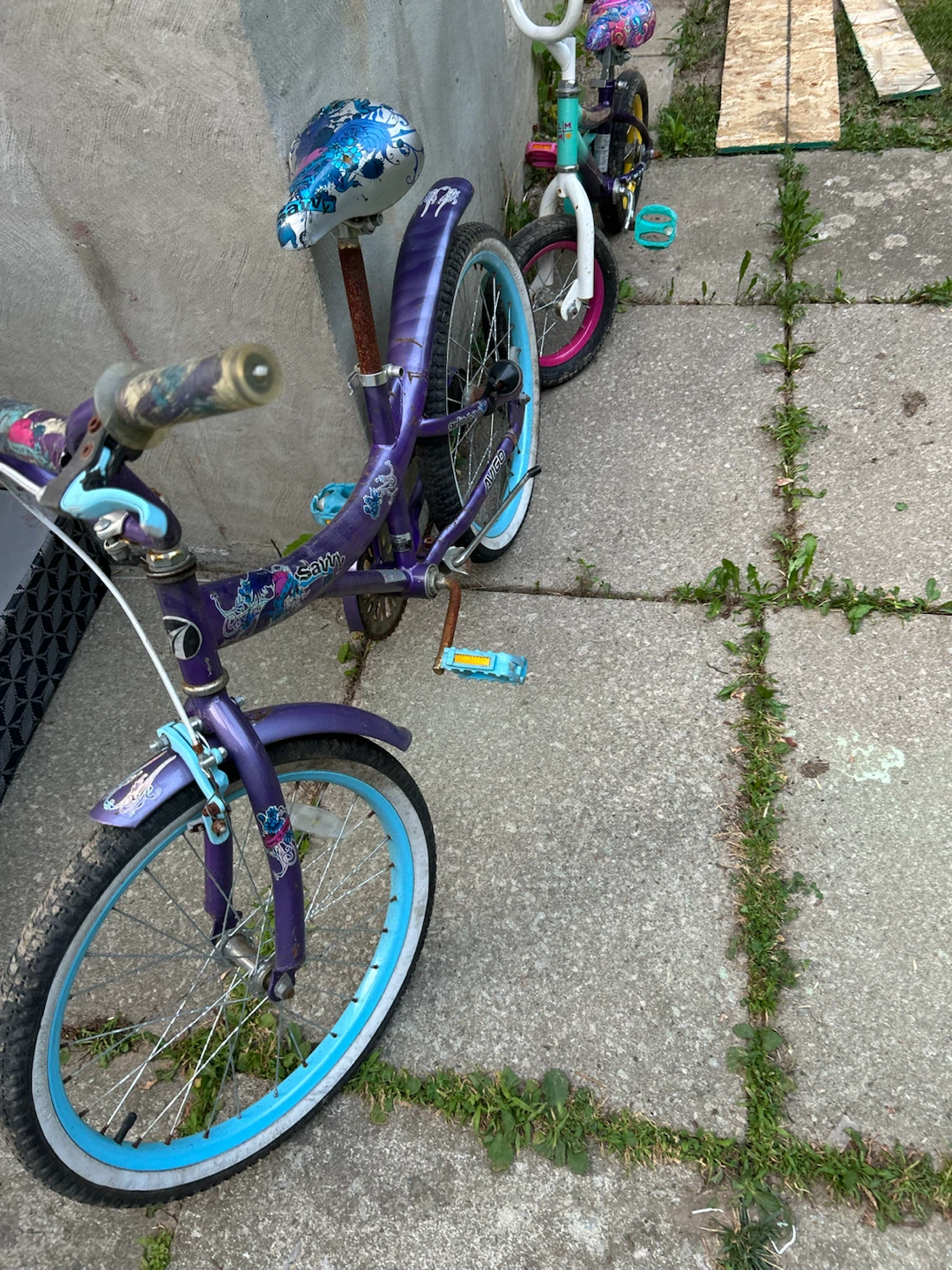 Kids Purple Bicycle