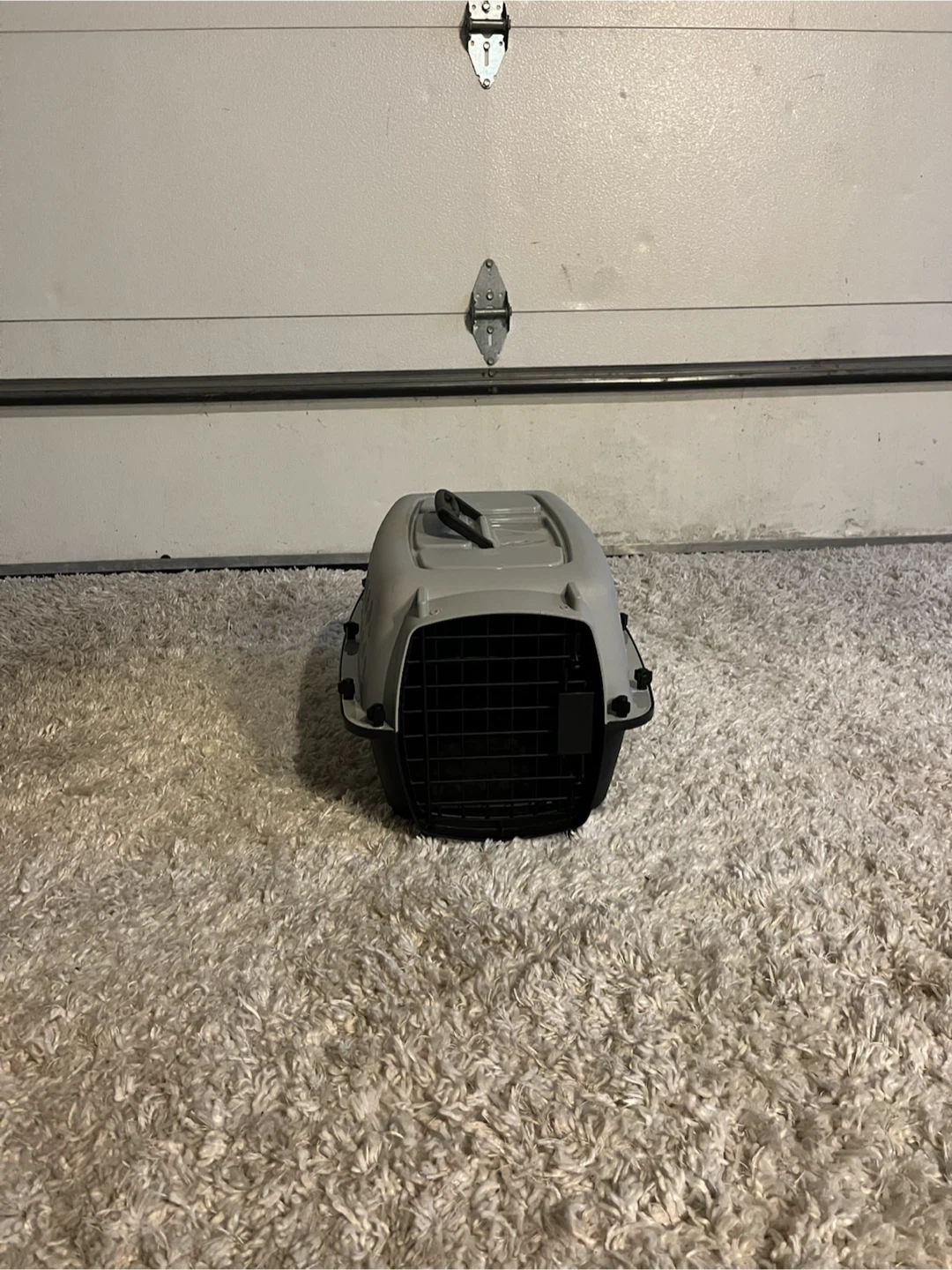 Pet Carrier
