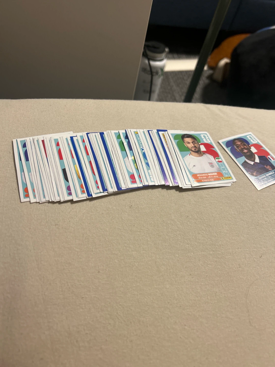 Panini stickers