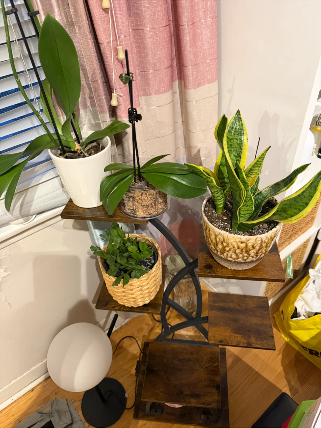 Multi-Tiered Plant Stand