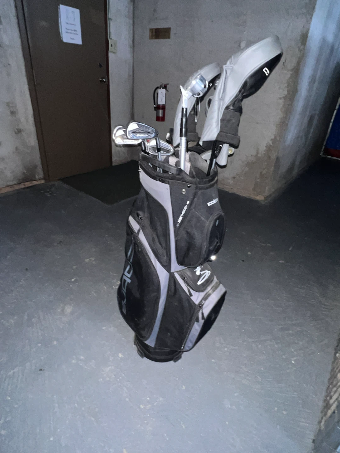 Cobra Golf Bag with Clubs