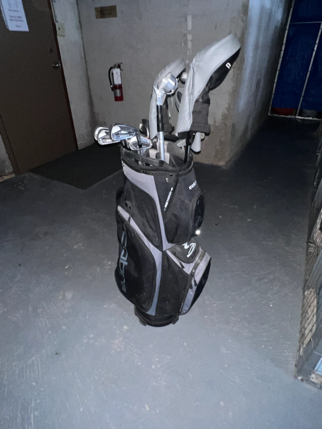 Cobra Golf Bag with Clubs - photo 5