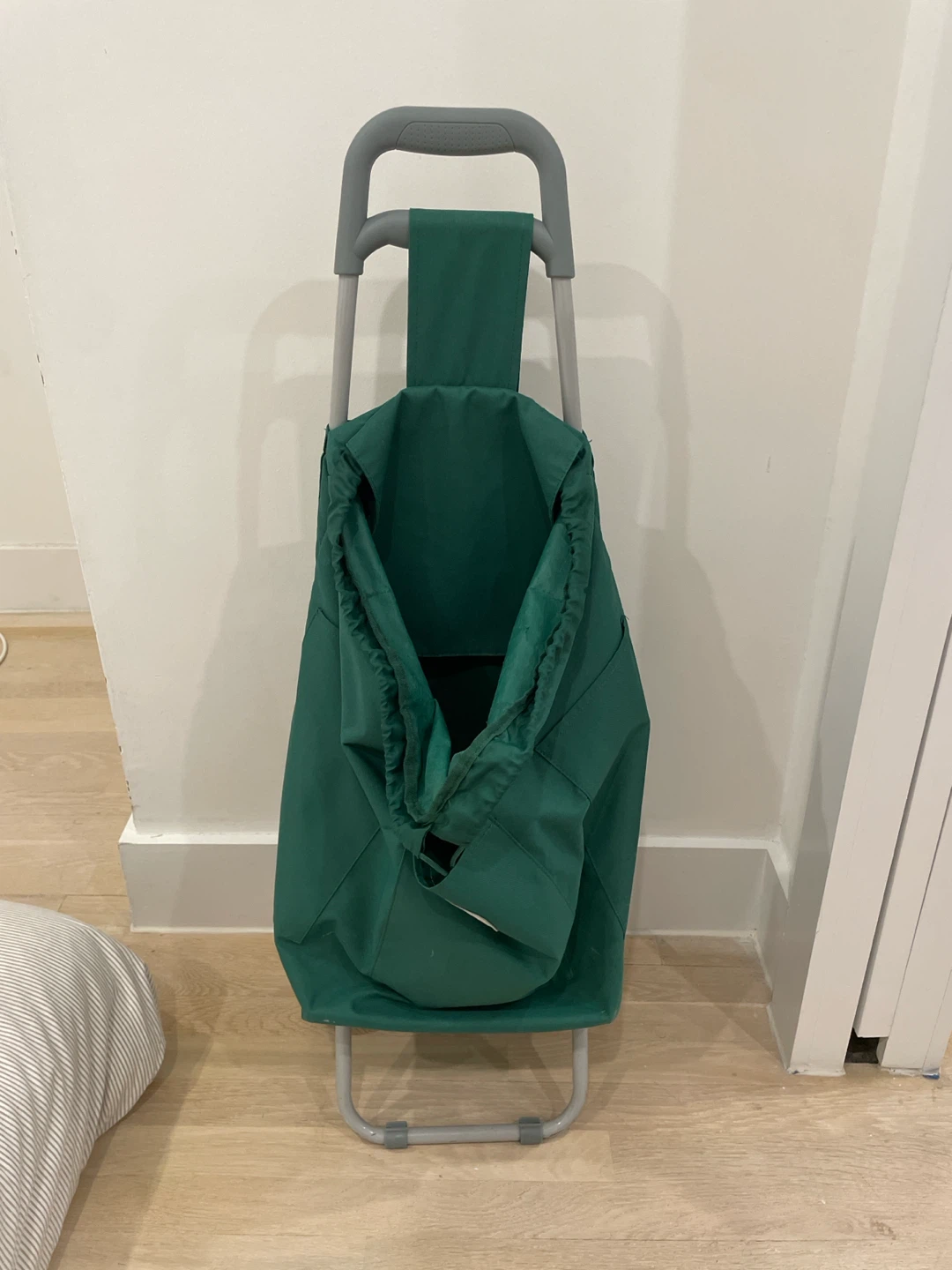 Green Rolling Shopping Cart